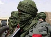 Terrorists Organization sets to establish Radio station in Nigeria